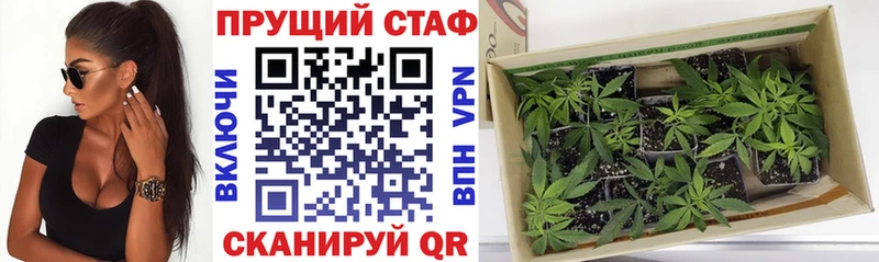 Названия наркотиков Тогучин ГАШИШ  СК  Меф мяу мяу  omg зеркало  Бошки Шишки 