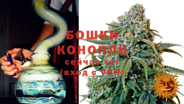 ГАЛЛЮЦИНОГЕННЫЕ ГРИБЫ Новодвинск