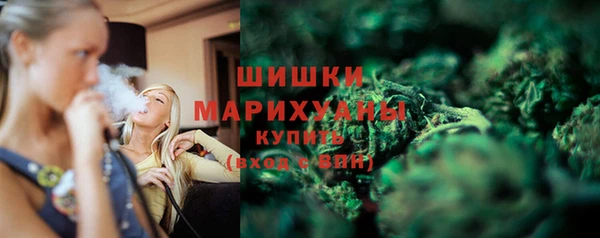 apvp Новозыбков