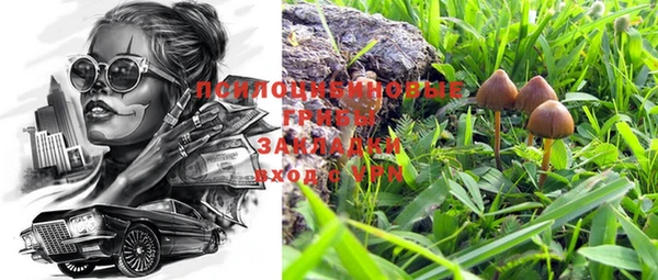 дживик Новокубанск