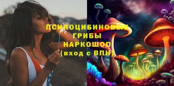 ГАЛЛЮЦИНОГЕННЫЕ ГРИБЫ Новодвинск