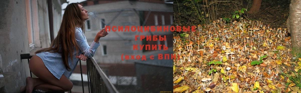 ГАЛЛЮЦИНОГЕННЫЕ ГРИБЫ Новодвинск