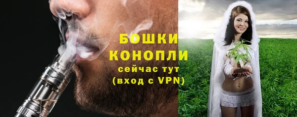 apvp Новозыбков