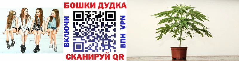 где можно купить наркотик  Тогучин  Каннабис SATIVA & INDICA 